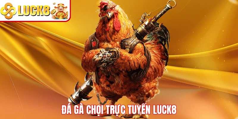 Đá Gà Chọi Trực Tuyến LUCK8 – Trải Nghiệm Cược Đỉnh Cao Đá gà chọi trực tuyến LUCK8